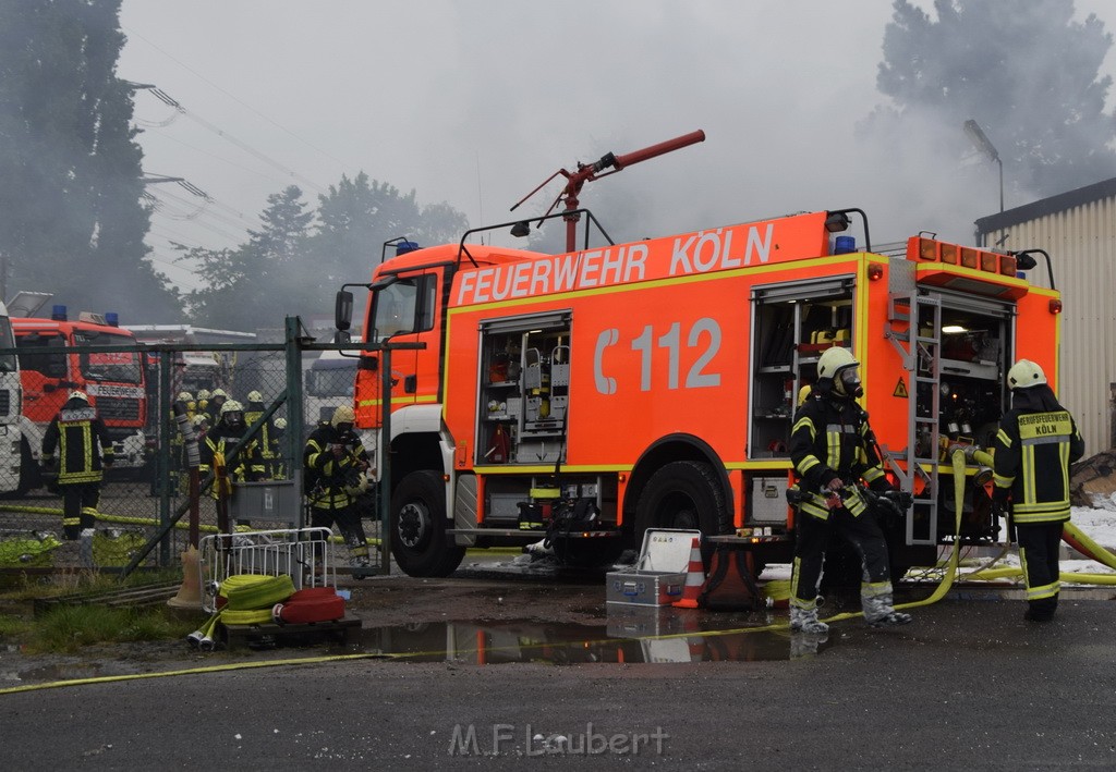 Feuer 3 Rheinkassel Feldkasseler Weg P1726.JPG - Miklos Laubert